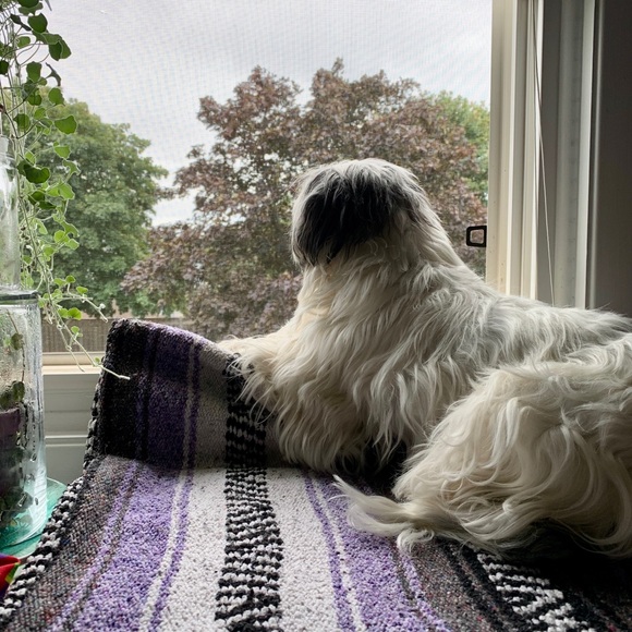 Meet your Posher, Elliette - Picture 7 of 7